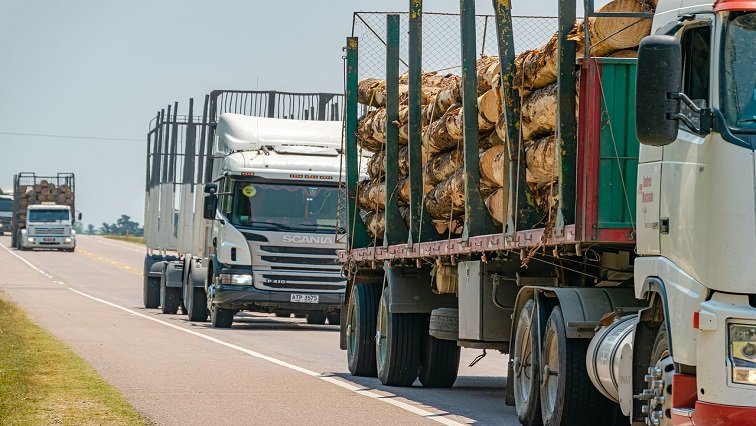 SA youth urged to grab opportunities in transport, logistics sector – SABC News