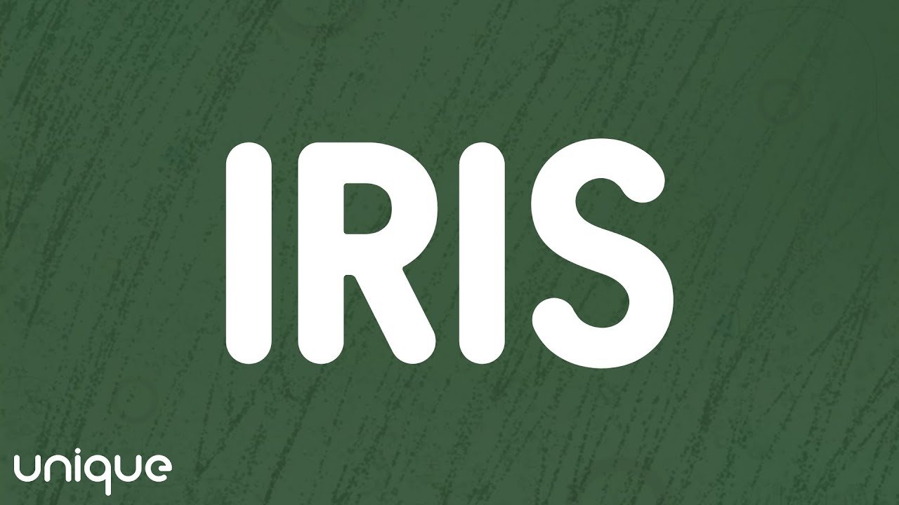 Goo Goo Dolls – Iris (Lyrics)
