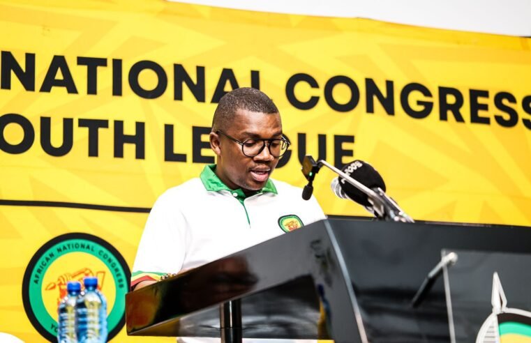 Without land solution, the National Dialogue is pointless: ANCYL – SABC News