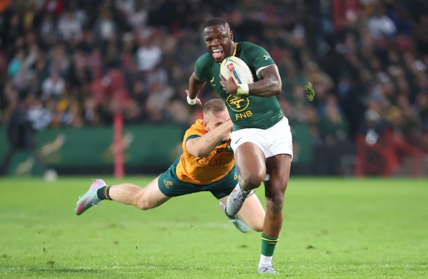 Boks back Fassi to fill Willie void