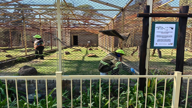 R30 million allocated to revamp Bloemfontein Zoo – SABC News
