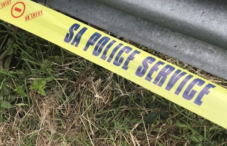 Three bodies discovered in separate Mpumalanga incidents – SABC News
