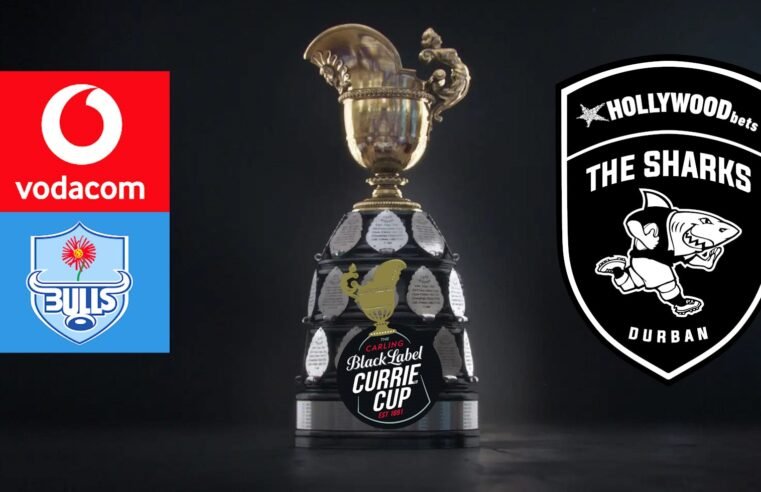 LIVE: Bulls vs Sharks XV
