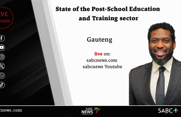 LIVE: Manamela briefs on state of the Post-School Education sector