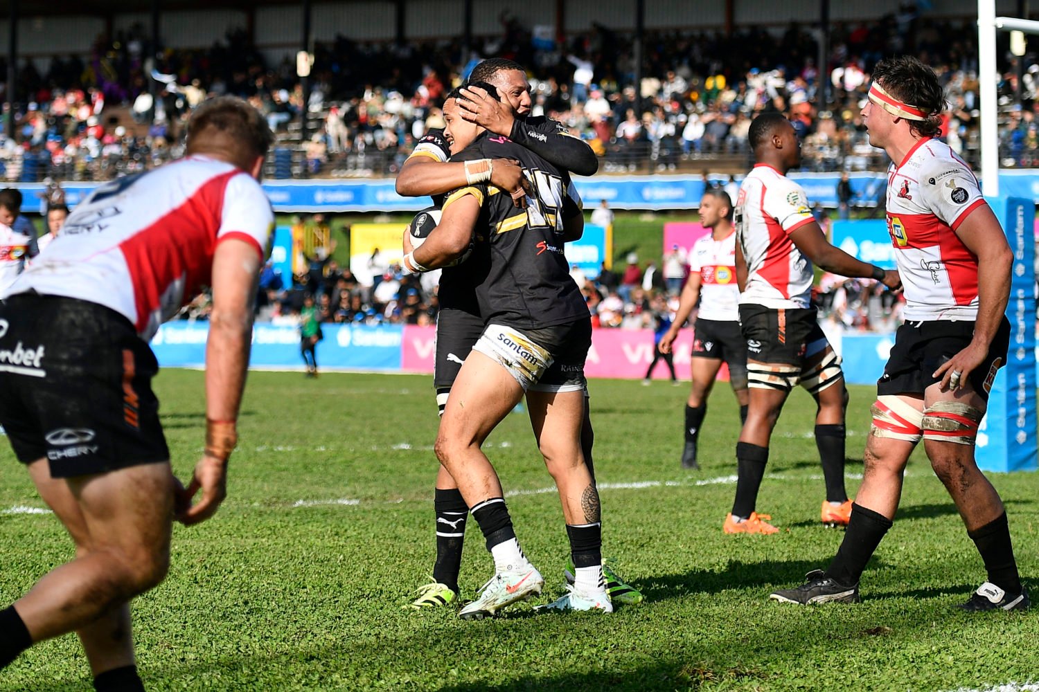 Don double tames Lions in Wellington