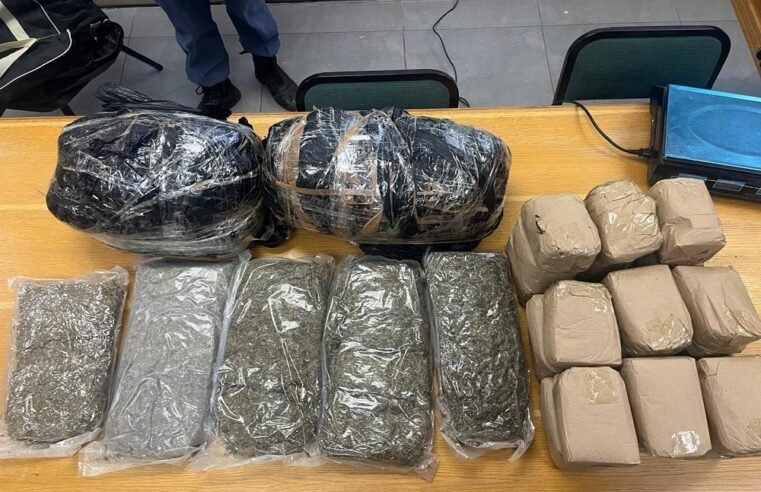Gauteng police destroy drugs worth over R400 million – SABC News