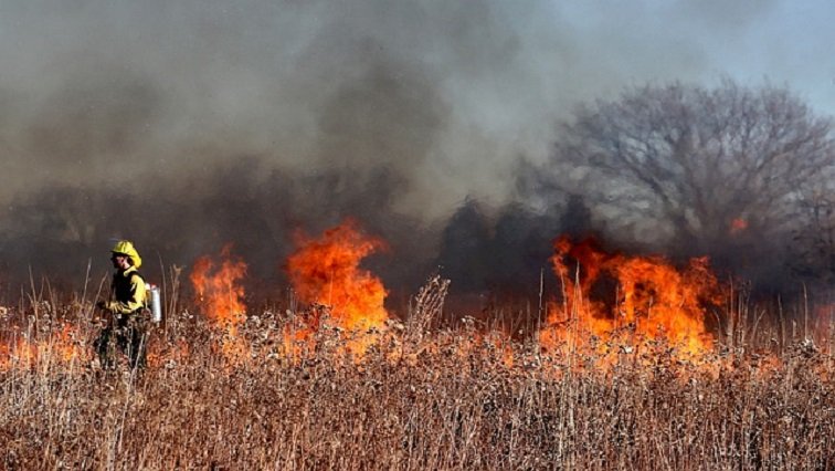 Mpumalanga motorists urged to be cautious amid veld fire smoke – SABC News