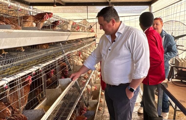 Steenhuisen inspires learners at special needs Agricultural School – SABC News