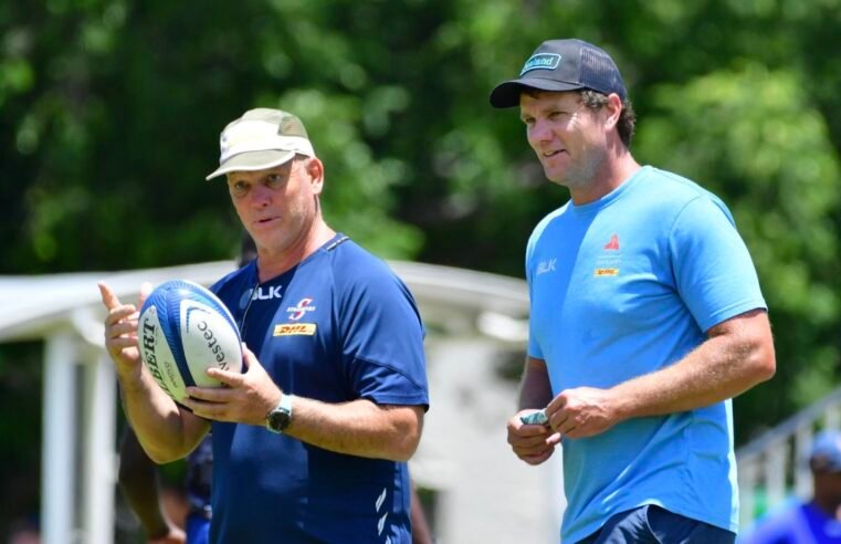 Italian intel sharpens Stormers