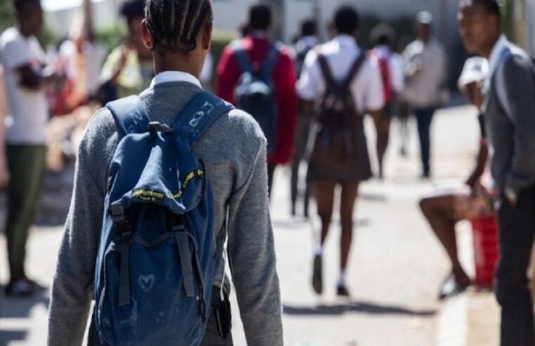 School audit targeting teachers, pupils to conclude by October: ELRC – SABC News