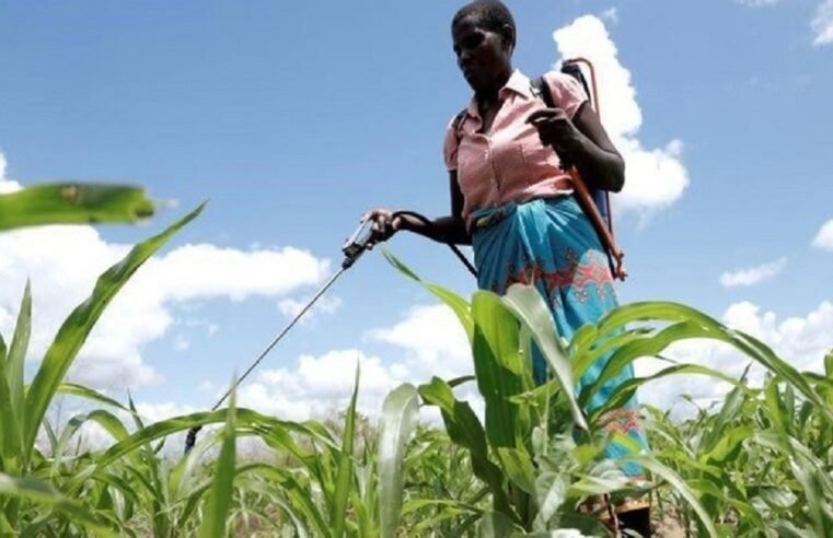 ‘There are still policy gaps in the management of pesticides’ – SABC News