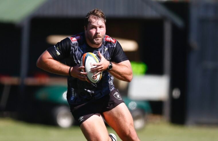 Sharks bring in backline experience