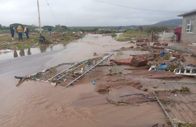 Mthatha flood victims elated over new temporary living units – SABC News
