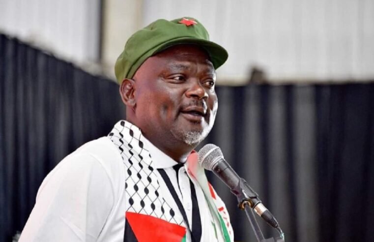 Nehawu urges action against those spreading misinformation about SA – SABC News