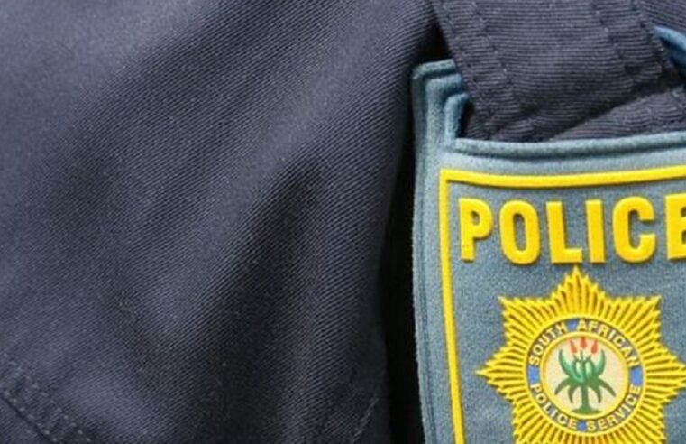 Ramaphosa to swear in Prof Firoz Cachalia as acting police minister – SABC News