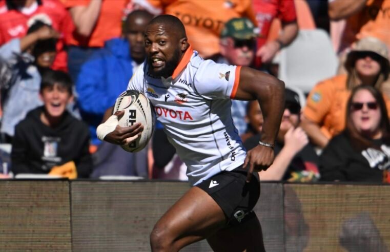 Cheetahs survive Lions’ second-half surge