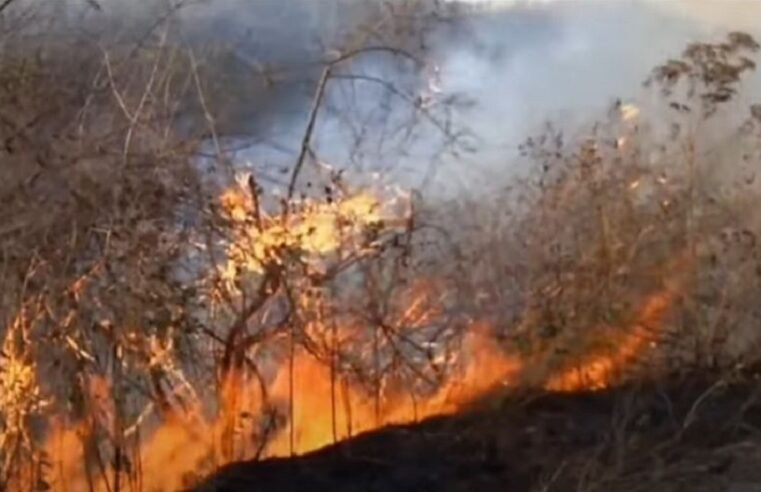 Firefighters continue to battle Mpumalanga veldfires – SABC News