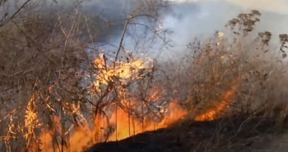 Firefighters continue to battle Mpumalanga veldfires – SABC News