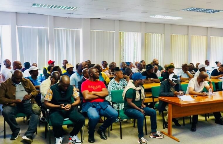 Gauteng Transport is working to address backlog of taxi permits: MEC – SABC News