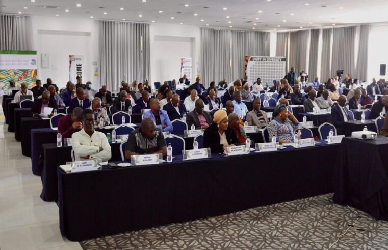 Traditional leaders urge politicians to stay out of royal affairs – SABC News