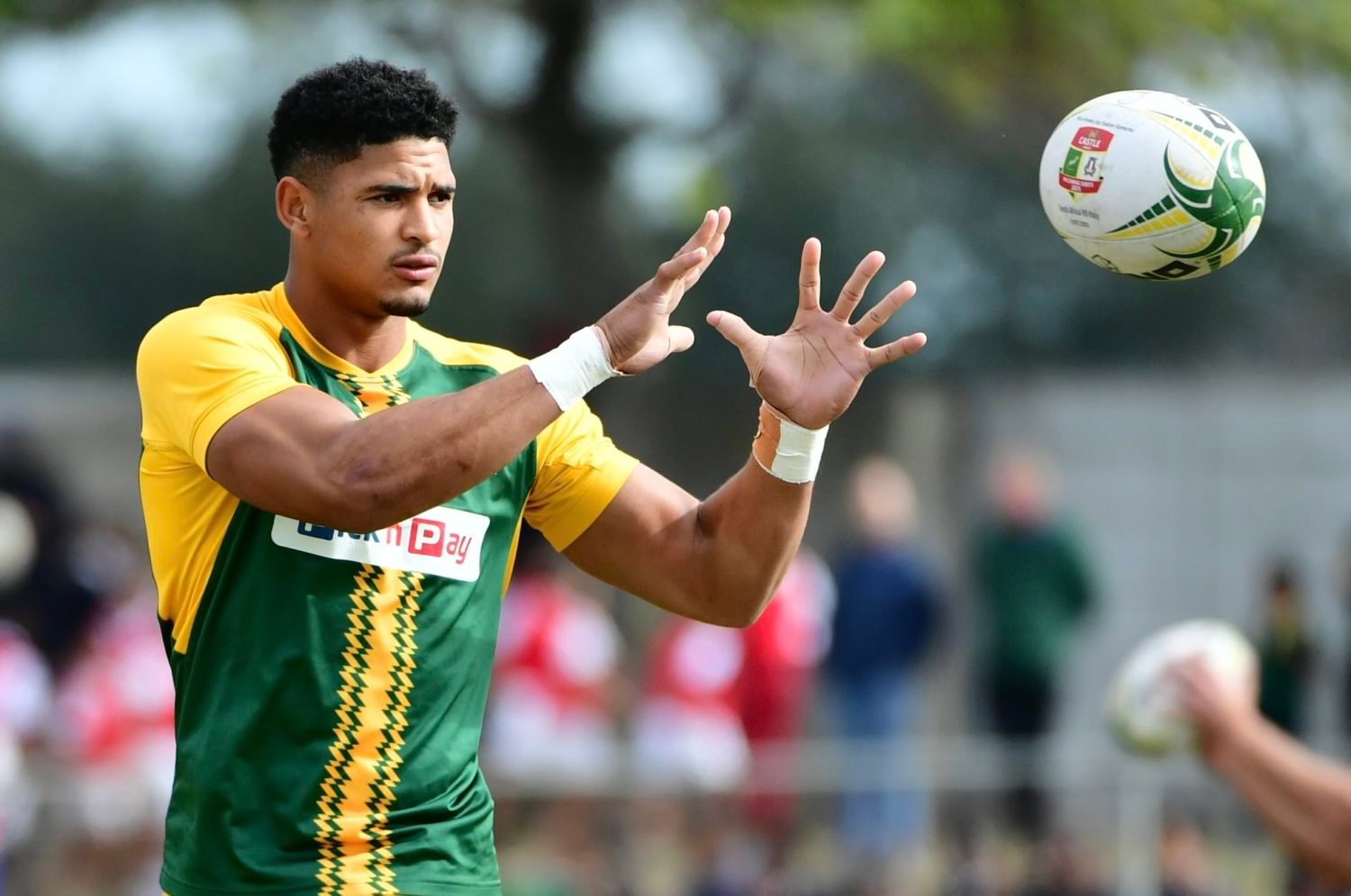 Boks to stop Wallabies’ bridge passes