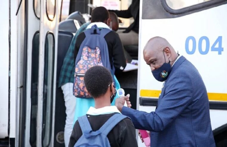 New tender halt won’t affect scholar transport: KZN Finance MEC – SABC News