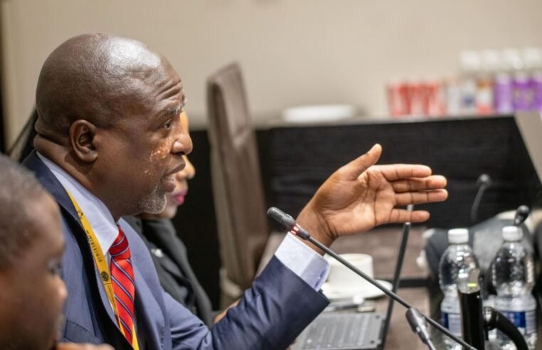 Ad Hoc Committee probing Mkhwanazi’s claims will be impartial: Ntuli – SABC News