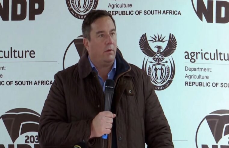 Steenhuisen confident govt will strike favourable tariff deal with US – SABC News