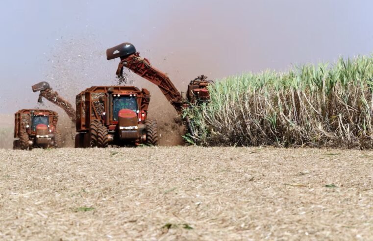KZN’s sugar cane farmers to be hard hit by US tariffs: SAFDA – SABC News