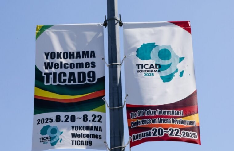 Japanese Prime Minister reaffirms eagerness to work with Africa – SABC News