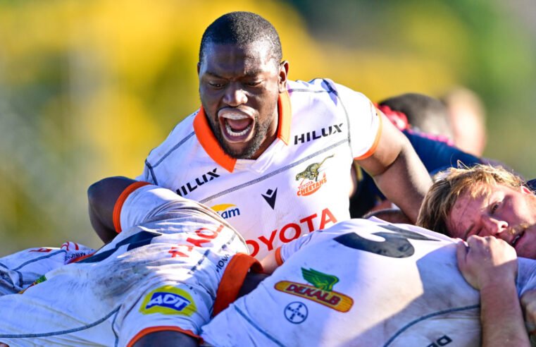 Cheetahs pip Sharks XV in cagey affair