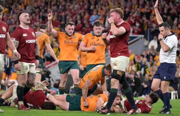 Is Wallabies’ confidence for real, or AI?
