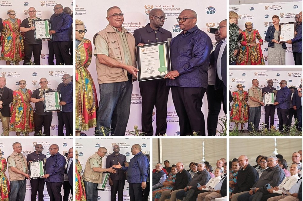 Minister Nyhontso commits to fast-tracking land claims – SABC News