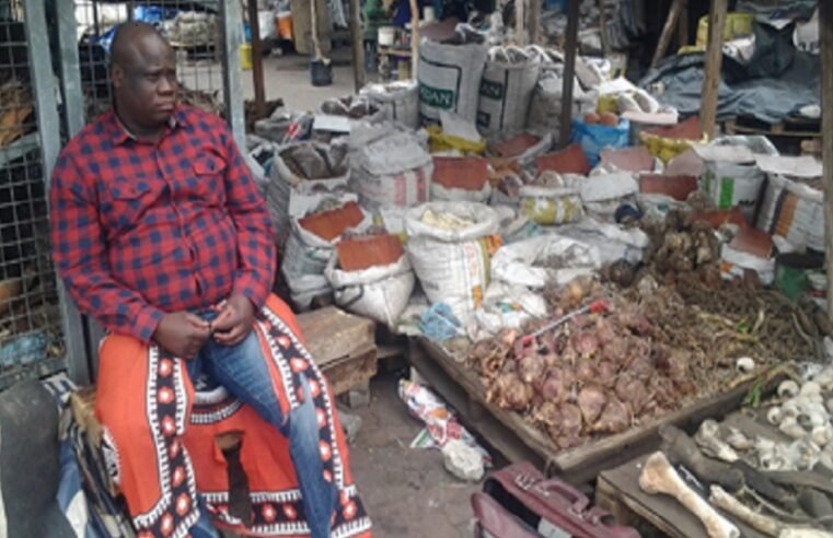 Traditional healers demand equal recognition for medical certificates – SABC News