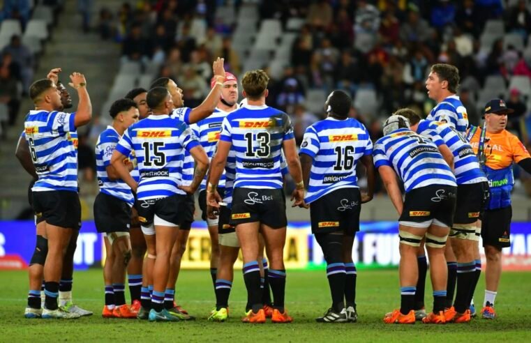 WP need to grow quickly