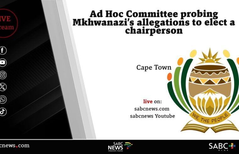 LIVE | Ad hoc committee elects Chair to probe Mkhwanazi allegations