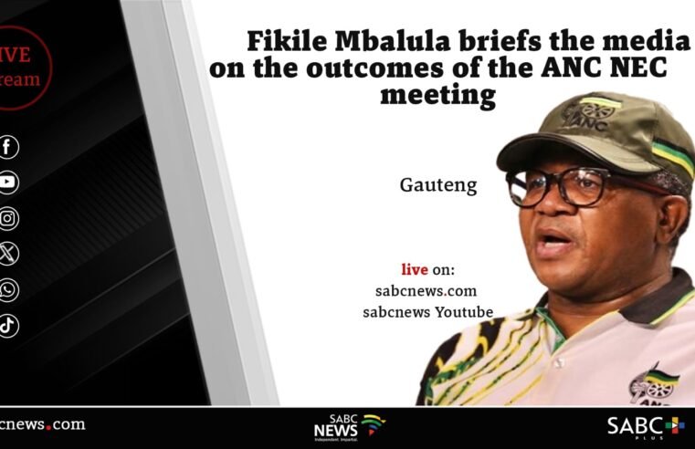 LIVE| Mbalula briefs the media on ANC NEC meeting outcomes