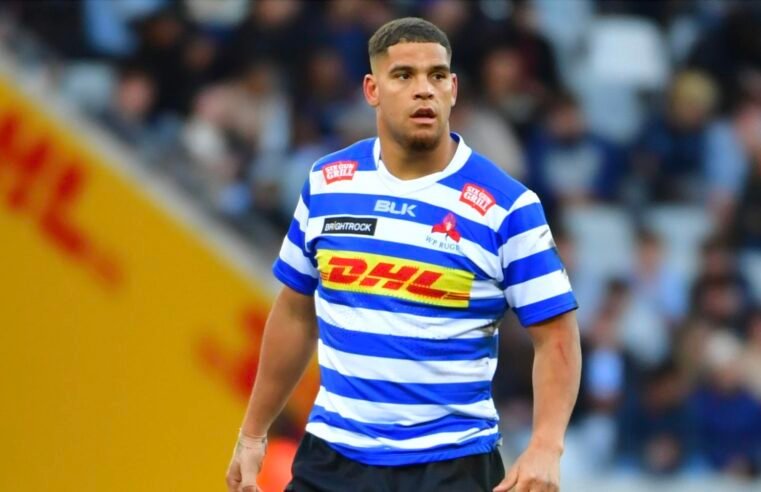 WP, Sharks aim to stop Currie Cup slide