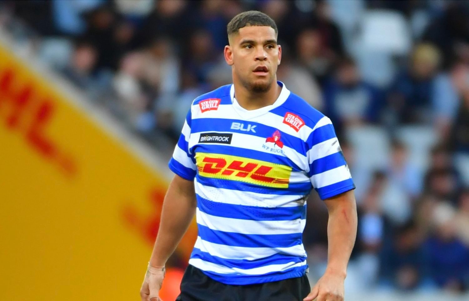 WP, Sharks aim to stop Currie Cup slide