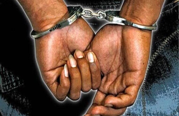 Two suspects nabbed for possession of prohibited guns and ammunition – SABC News
