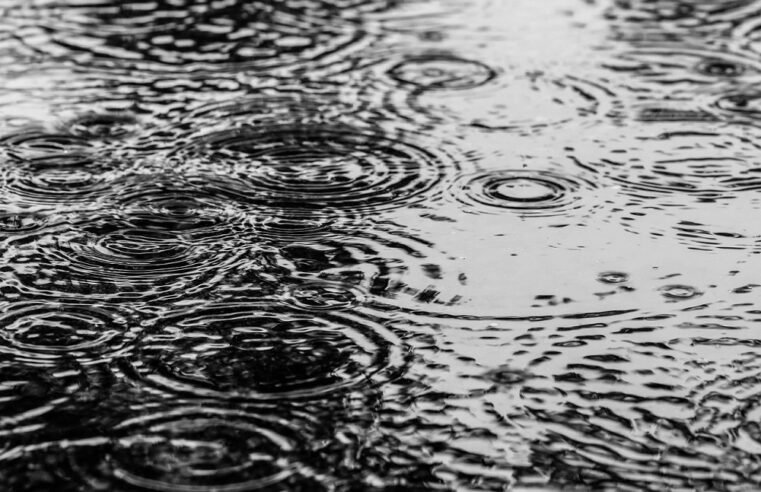 Severe thunderstorms to hit parts of Gauteng: SAWS – SABC News