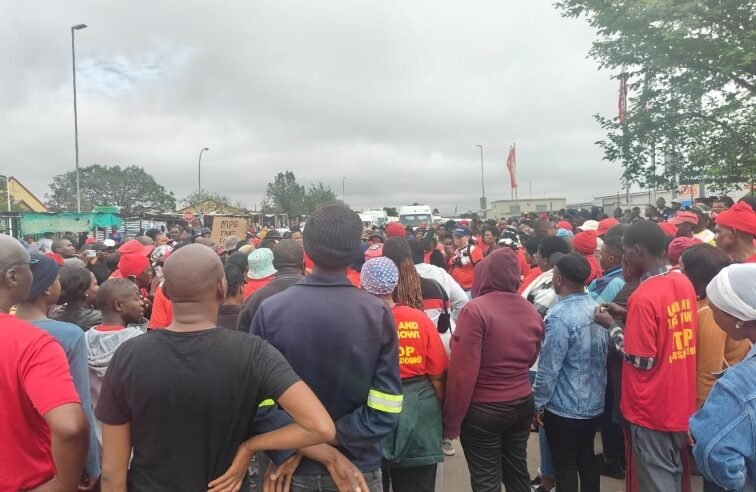 Action SA, EFF march side-by-side over service delivery in Polokwane – SABC News
