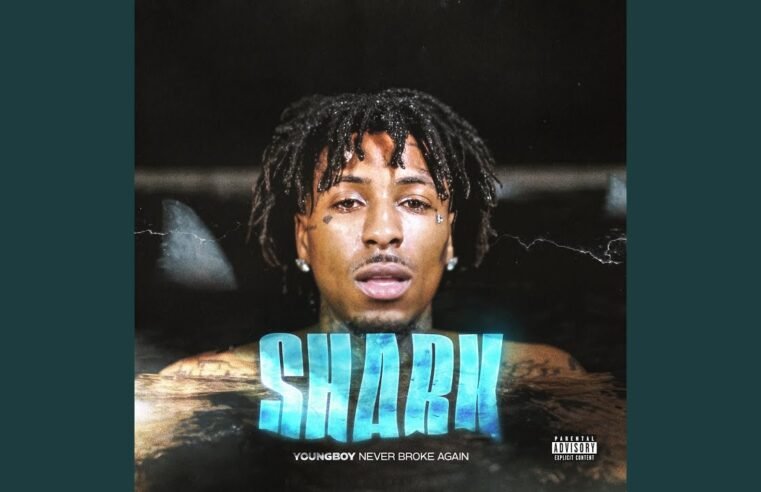 Shark