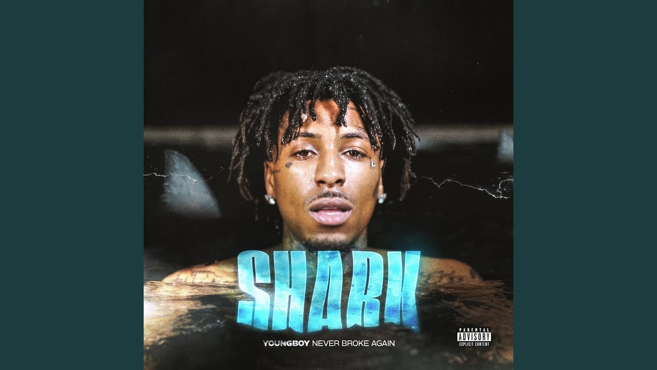 Shark