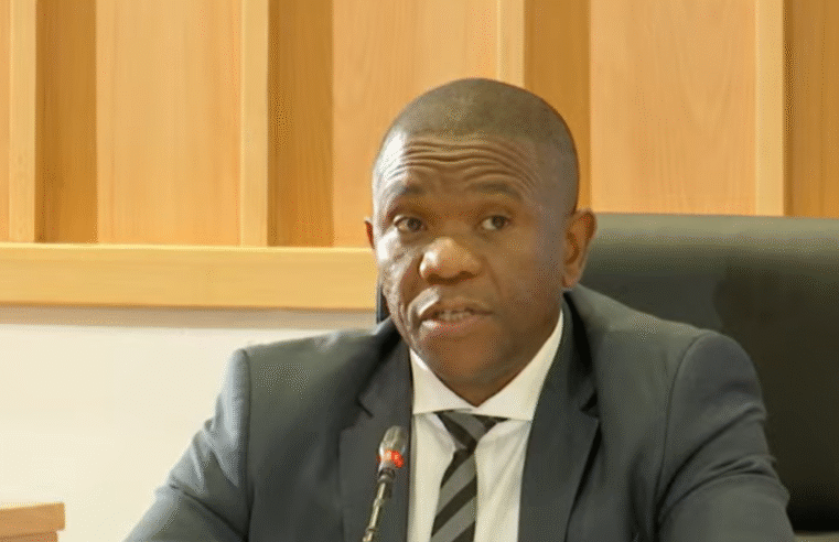 Kohler Barnard accused of fueling attacks against Crime Intelligence – SABC News