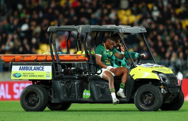 Fassi’s Bok season over?