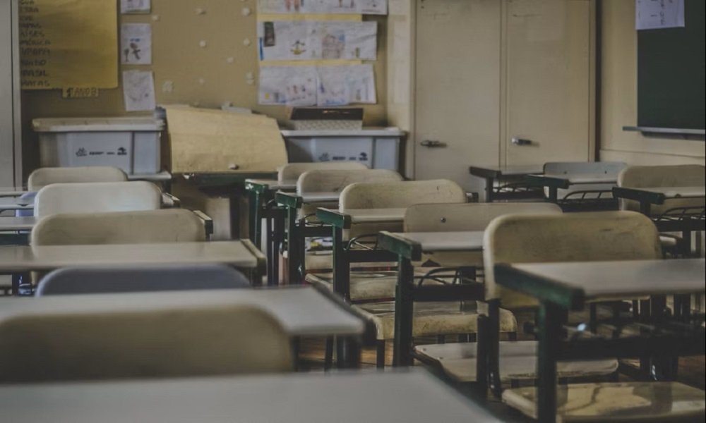 Immigration status not a factor in school allocations: Gauteng Education – SABC News
