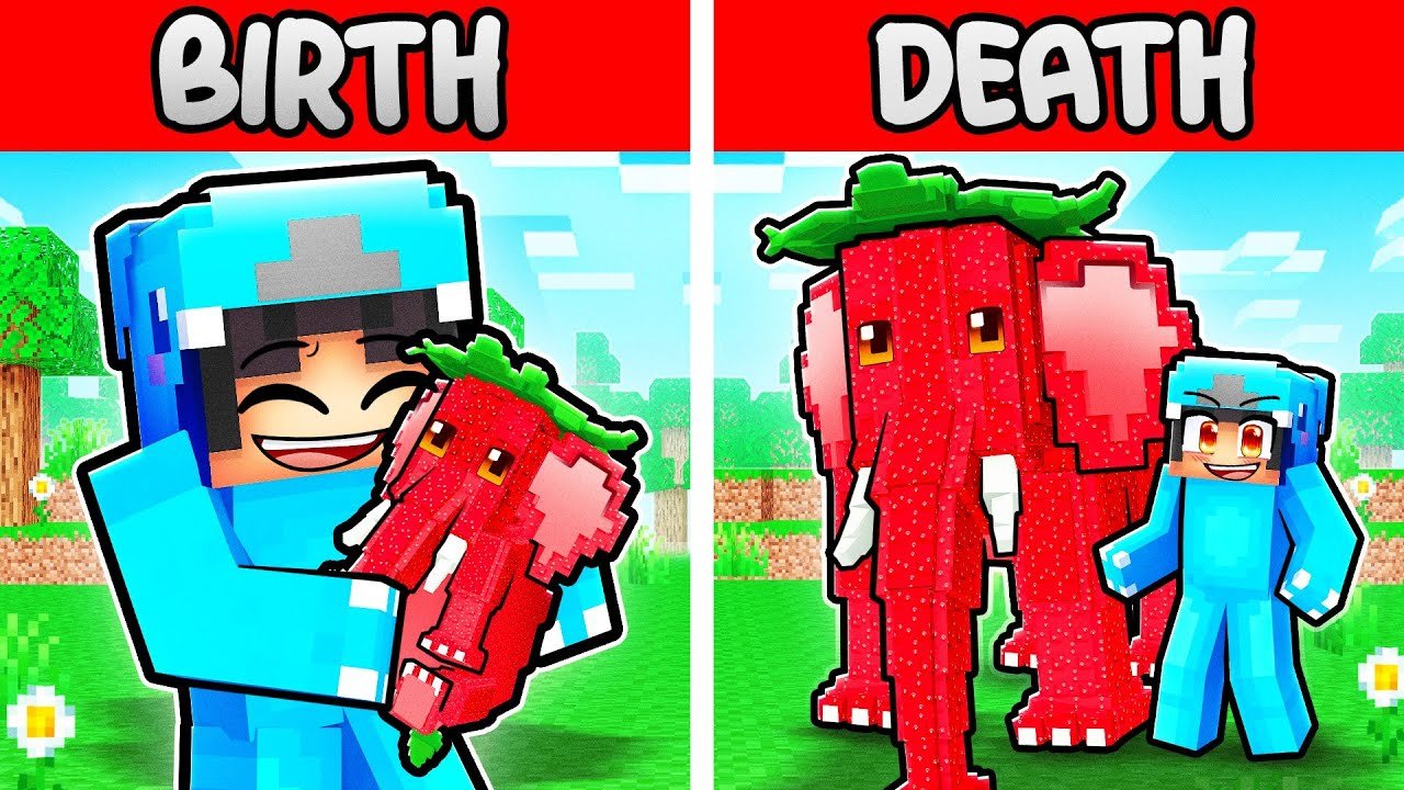 Strawberry Elephant Birth to Death in Minecraft!