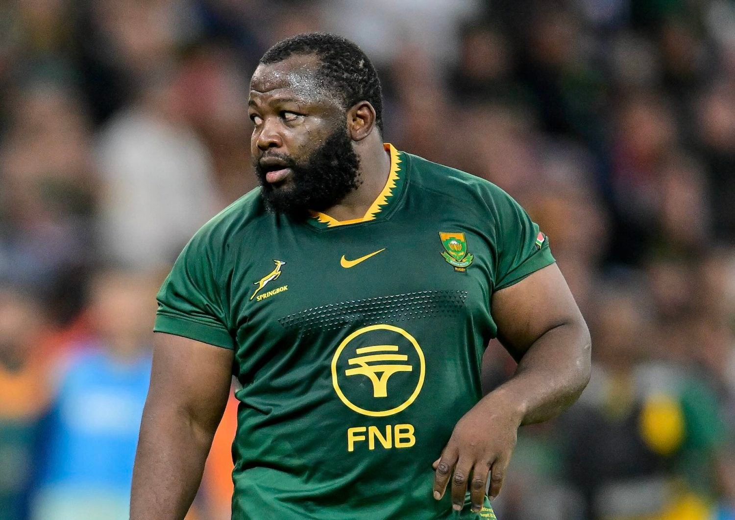 Ox returns, Rassie sticks with next-gen Bokbusters