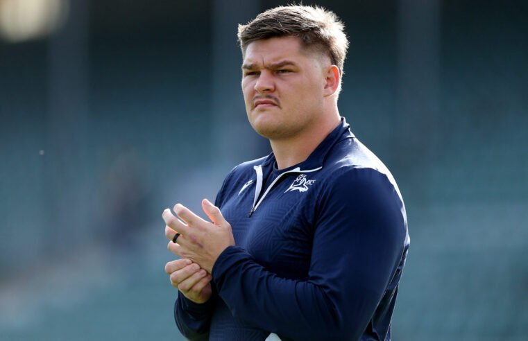 Journeyman Roets in the wilderness again